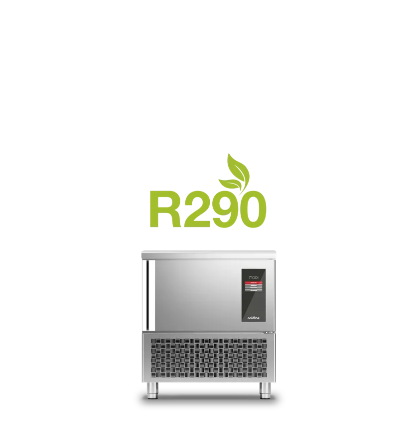 Upright Blast Chiller/Freezer 5 Trays